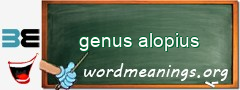 WordMeaning blackboard for genus alopius